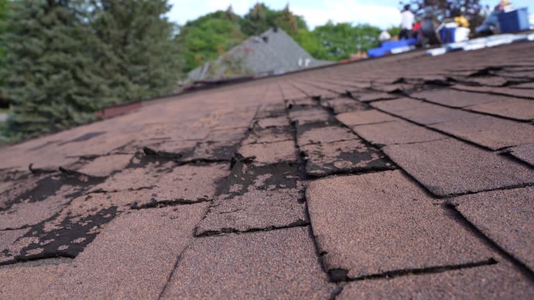 Best Wood Shake Roofing  in St Clair Shores, MI