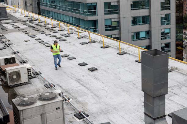 Best Roof Maintenance and Cleaning  in St Clair Shores, MI