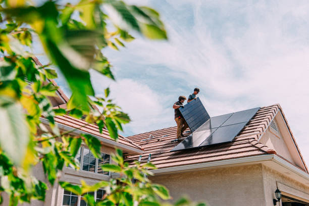 Best Roof Moss and Algae Removal  in St Clair Shores, MI