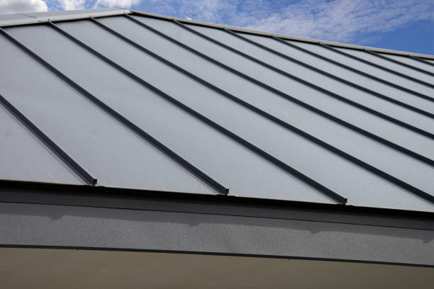 Best Skylight Installation and Repair  in St Clair Shores, MI