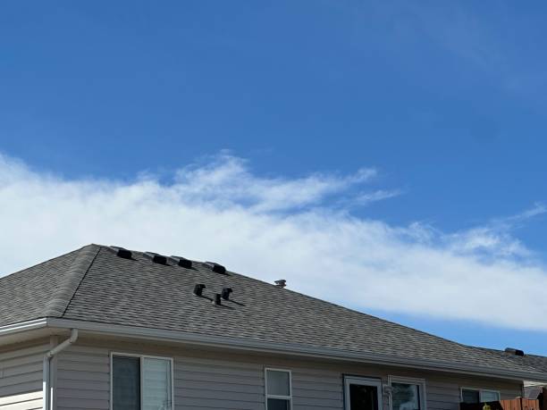 Best Gutter Installation and Repair  in St Clair Shores, MI